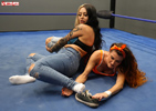 amber vs vipress